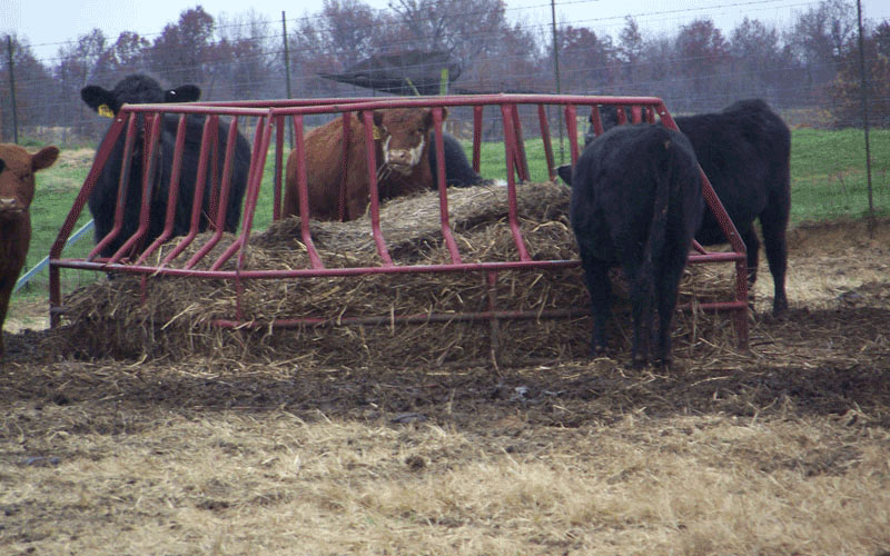 Bale Mizer Feeder