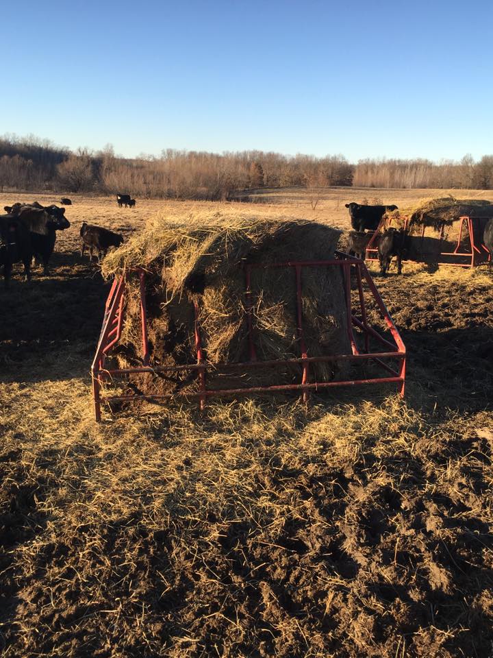 Bale Mizer Feeder